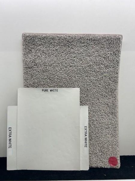 Carpet & Paint Carpet & Paint