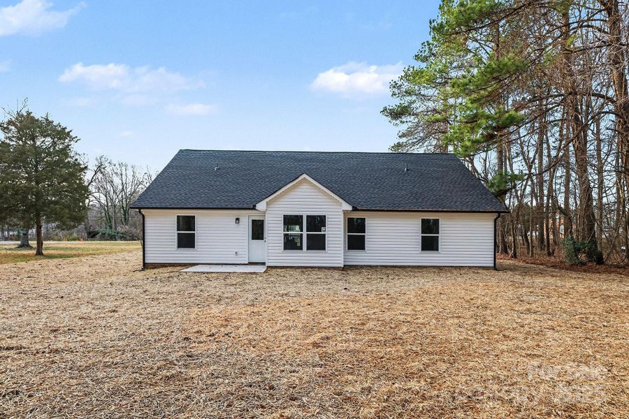 view from backyard (which extends way into the trees)
