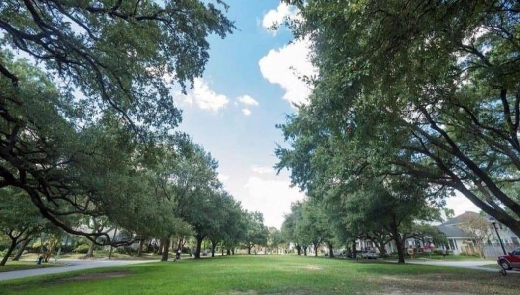 Natural landscape and outdoor views near  in Houston (Image 32).