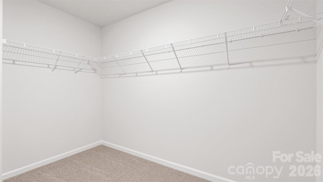 Photos are representative