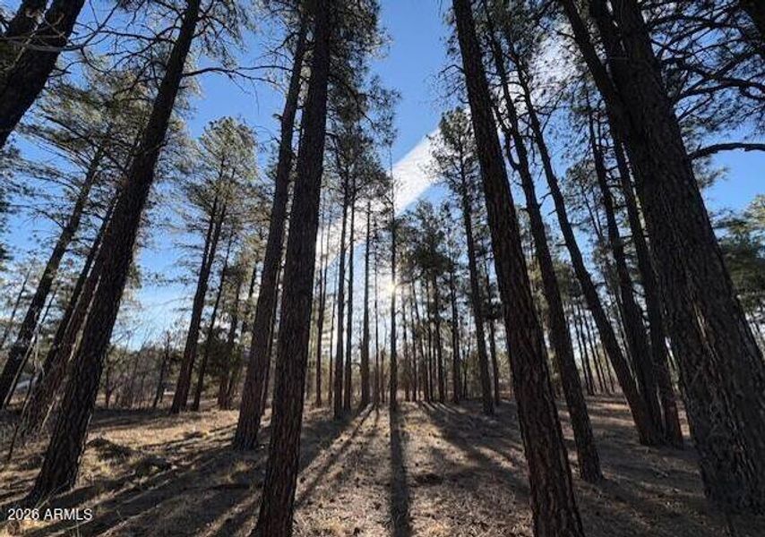 Screenshot 2026-02-24 102102