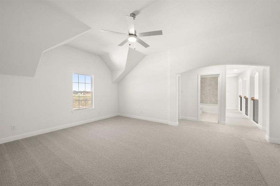 109 Golden Jackal- PGameroom-1