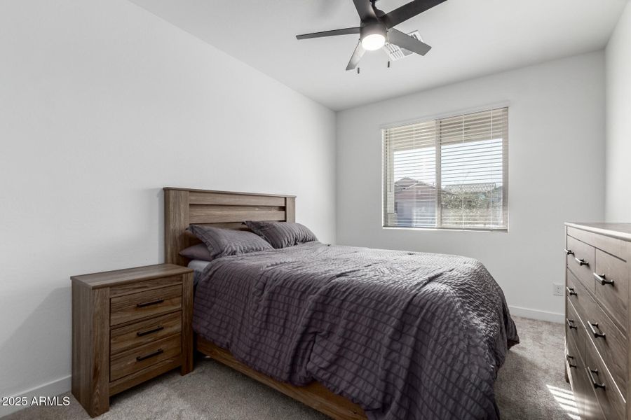 23 - Seldon 23 - Seldon