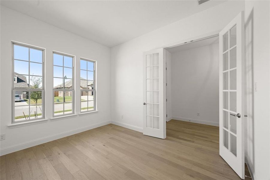 416 Lamb Study1 416 Lamb Study1