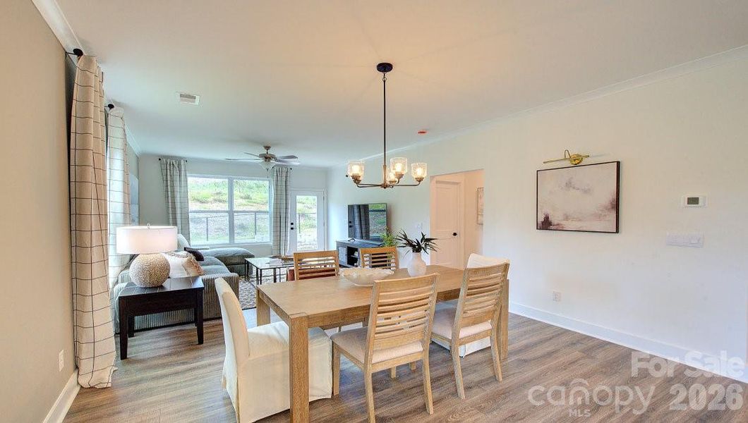 Photos are representative