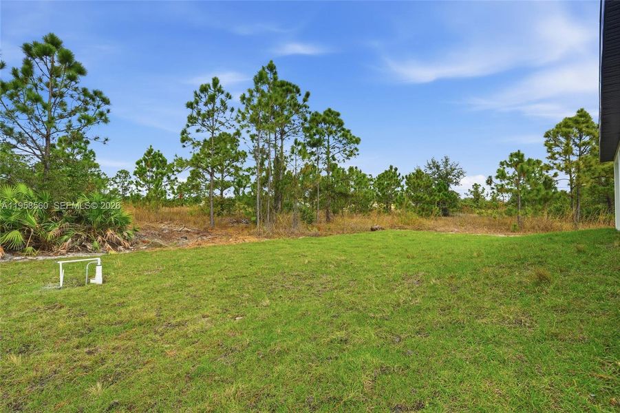 Natural landscape and outdoor views near  in Lehigh Acres (Image 35).