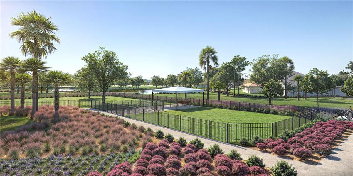 Community amenities in Riverwood, Zephyrhills (Image 22).