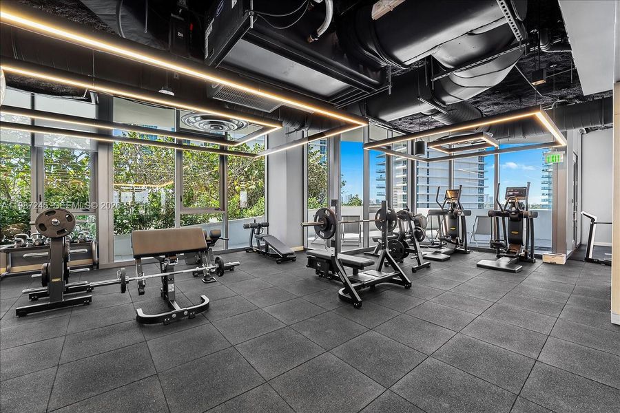 Weight Lifting Section + Cardio at Five Park Gym Weight Lifting Section + Cardio at Five Park Gym