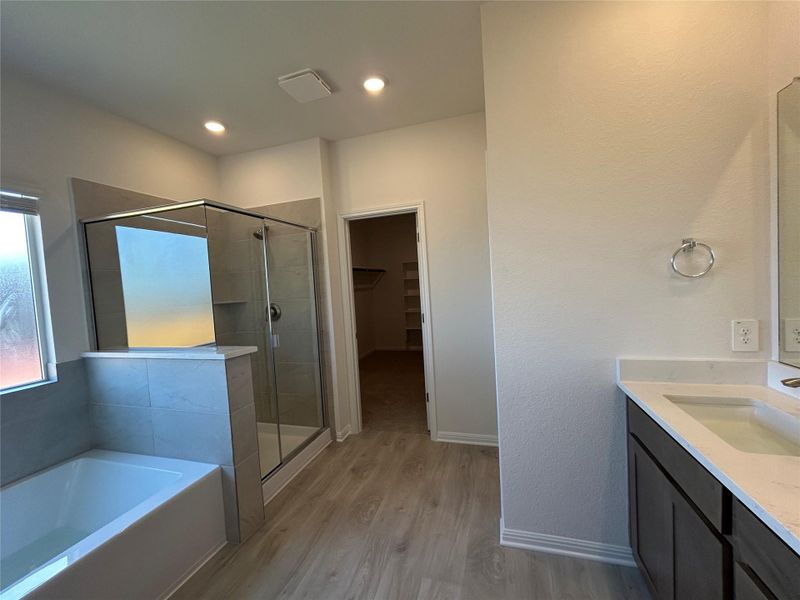 Bathroom featuring light wood finished floors, vanity, a bath, a stall shower, and a spacious closet Bathroom featuring light wood finished floors, vanity, a bath, a stall shower, and a spacious closet