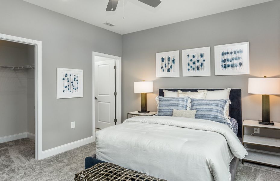 Model Representation