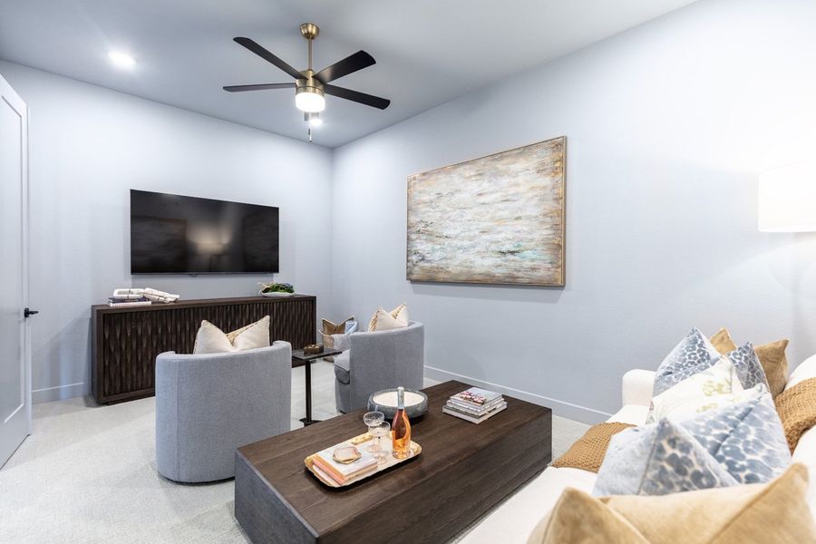 Entertainment Room