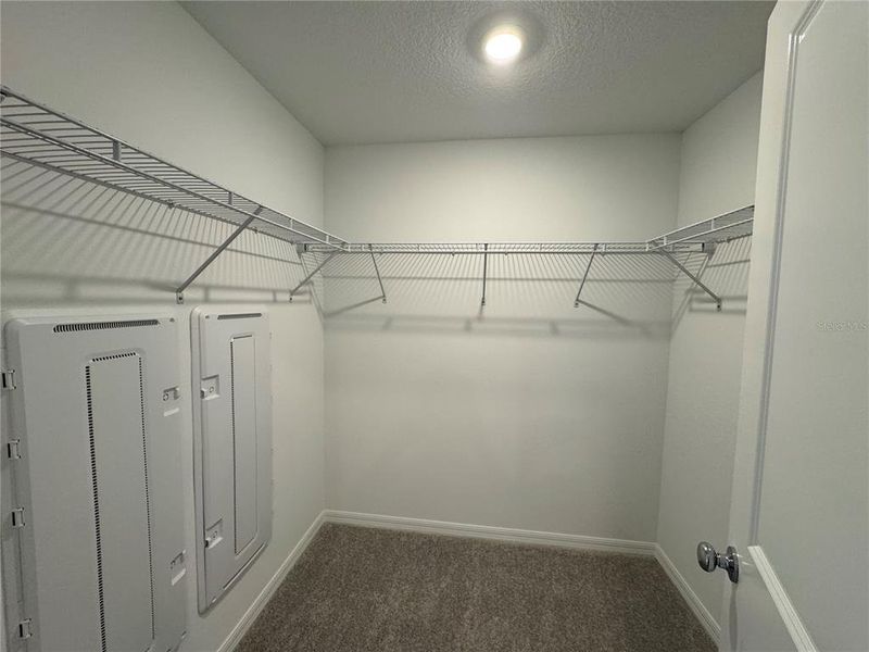 Spacious, unfurnished interior of a new home in , Wesley Chapel (Image 18).