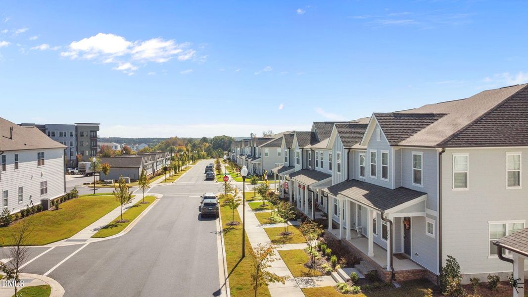 19-web-or-mls-19-DJI_0393 19-web-or-mls-19-DJI_0393