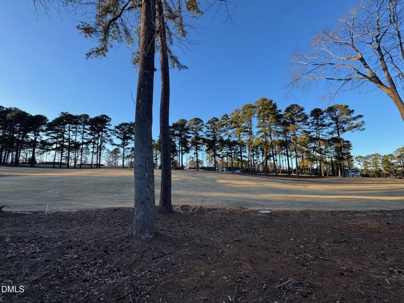 Golf Course View Golf Course View