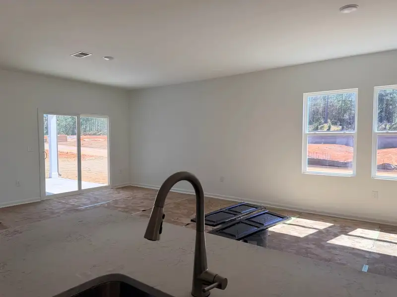 In-progress construction of a new home in Middleton Farms, Middlesex, NC (Image 19).