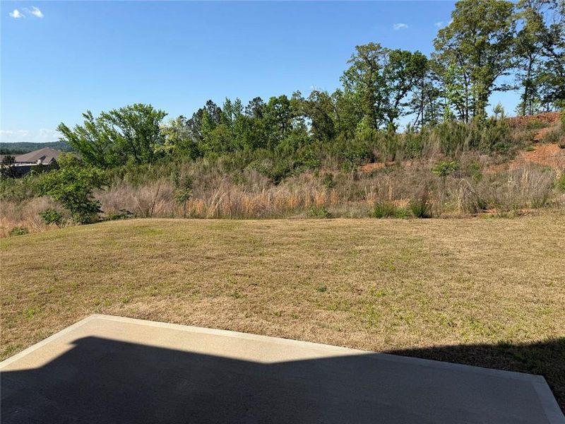 Natural landscape and outdoor views near  in Cartersville (Image 14).