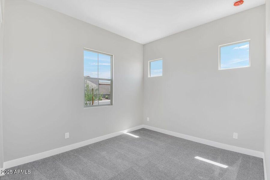 hj-az-phoenix-cantamia-portato-lot-28052