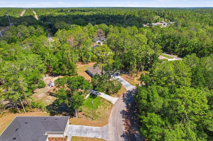 Natural landscape and outdoor views near  in Dunnellon (Image 38).