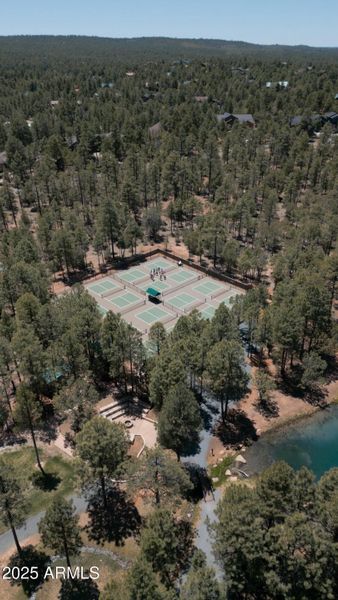 pickleballcourt pickleballcourt