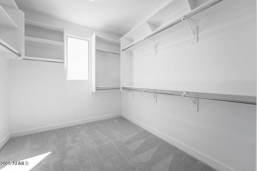 4030 E BRITTLEBUSH Lane - Ready Now!