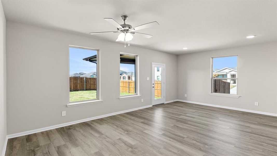 16. 3100 Areca - Family (2) 16. 3100 Areca - Family (2)