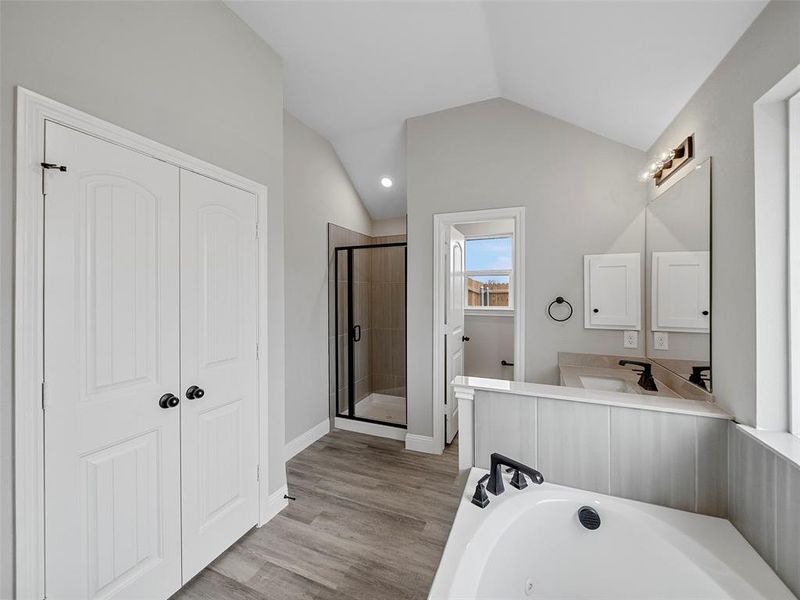 Bathroom featuring vanity, wood finished floors, lofted ceiling, a shower stall, and a bath