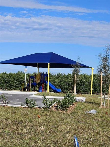 Community amenities in Peace Creek Reserve: Legacy Collection, Winter Haven (Image 16). Community amenities in Peace Creek Reserve: Legacy Collection, Winter Haven (Image 16).