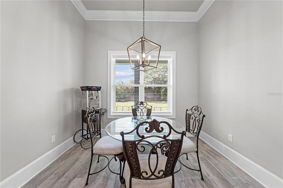 Furnished interior view inside a new home in , St. Cloud (Image 52).