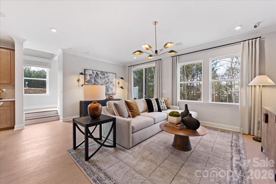 Knight Plan Model Photo Knight Plan Model Photo