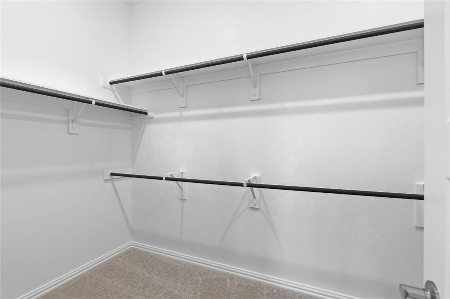 Spacious closet with carpet