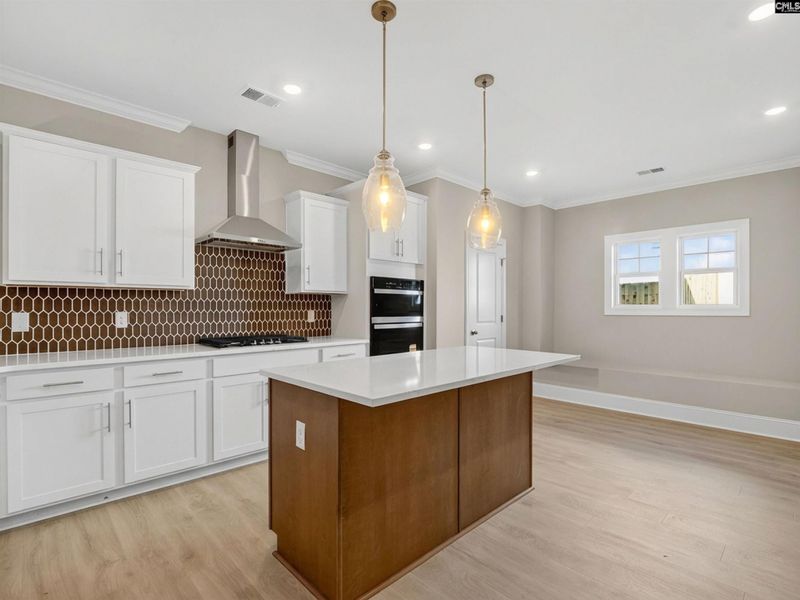 Furnished interior view inside a new home in Collins Cove, Chapin (Image 8).