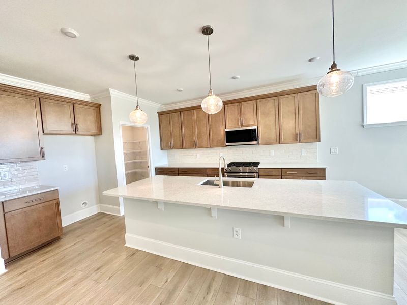 Furnished interior view inside a new home in Del Webb Wilmington at Mallory Creek, Leland (Image 5).