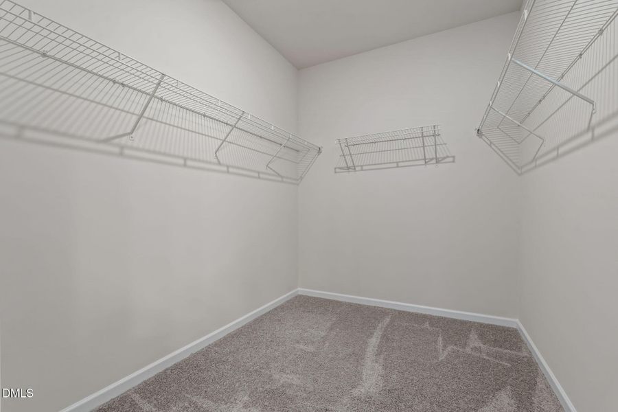 44-web-or-mls-DSC09991