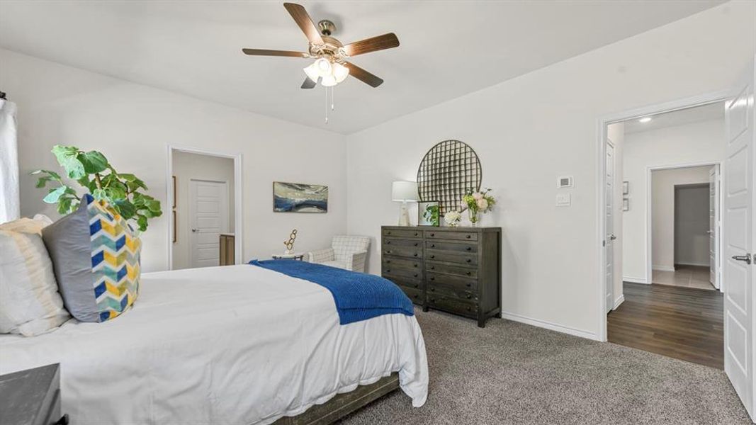 Carpeted room featuring a ceiling fan with integrated lighting, white walls, and a visible doorway with a white paneled door