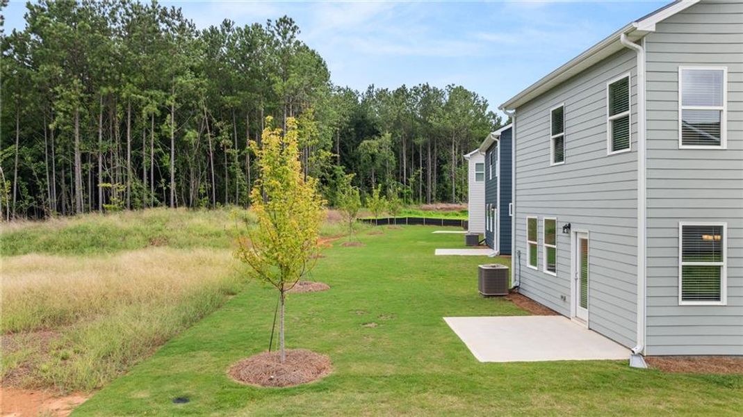 Exterior details and patio area of a home in Walden Park - The Retreat, Jonesboro (Image 29).