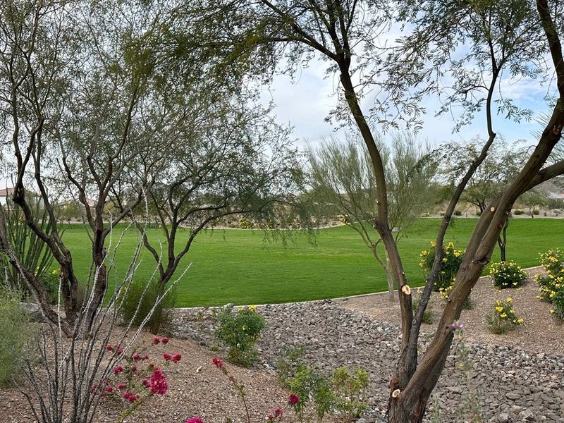 Natural landscape and outdoor views near Aloravita in Peoria (Image 11).