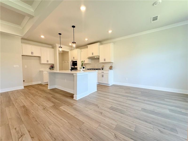 Spacious, unfurnished interior of a new home in Ponderosa Farms Manor, Gainesville (Image 31).