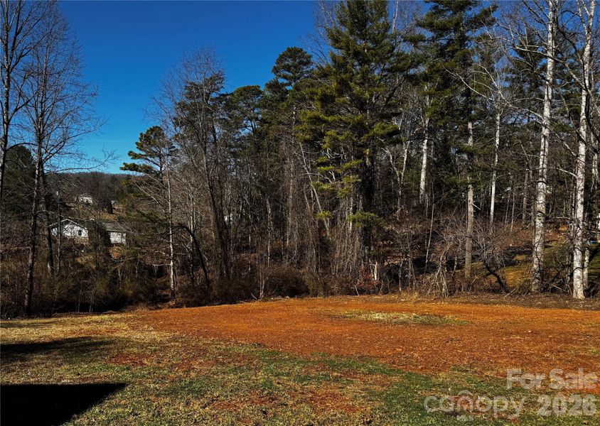 Natural landscape and outdoor views near  in Leicester (Image 21).