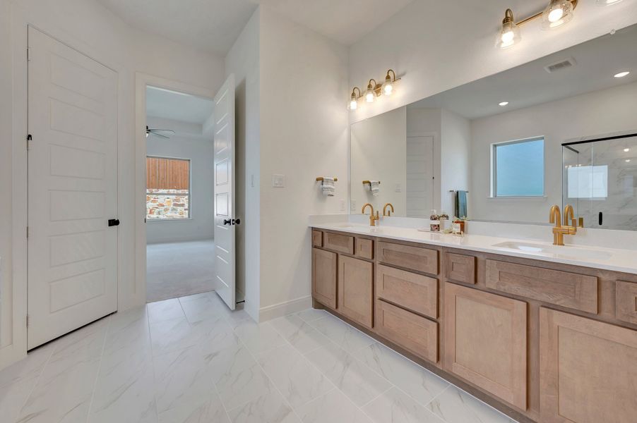 Owner's Bath