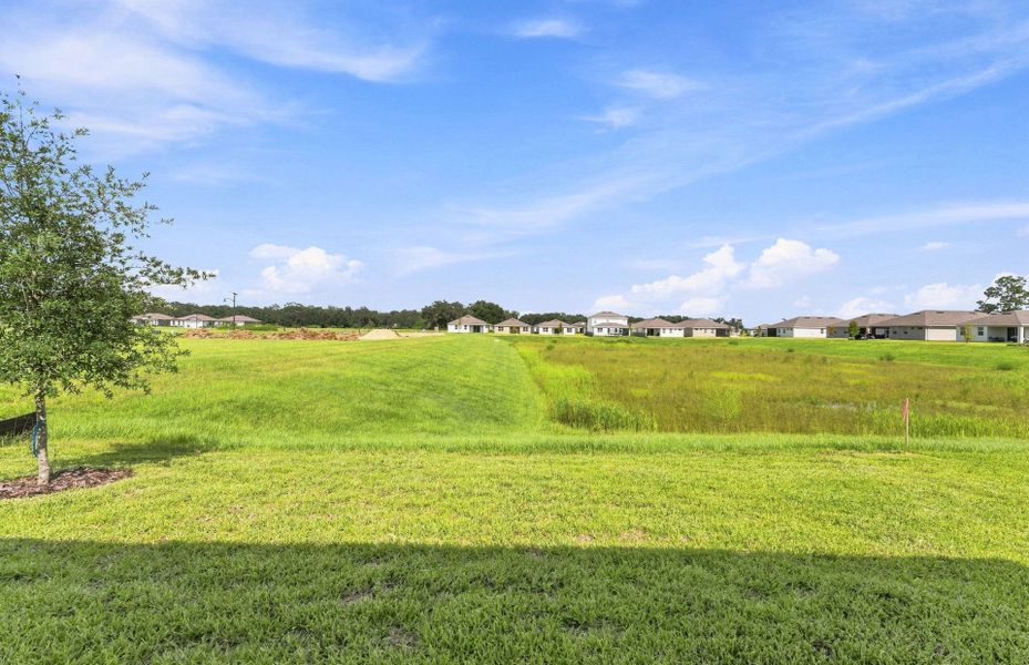 Natural landscape and outdoor views near Twisted Oaks in Wildwood (Image 22).