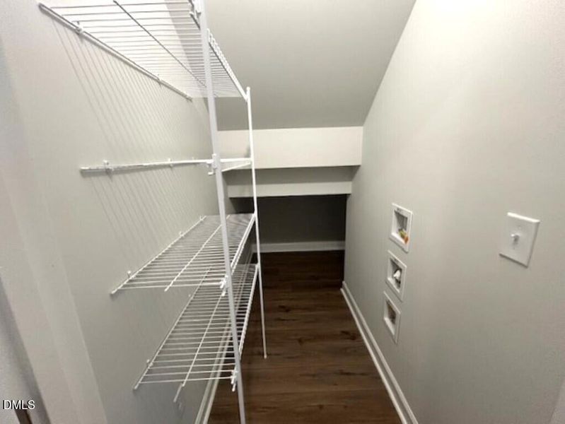 IMG_5039 (Medium) IMG_5039 (Medium)