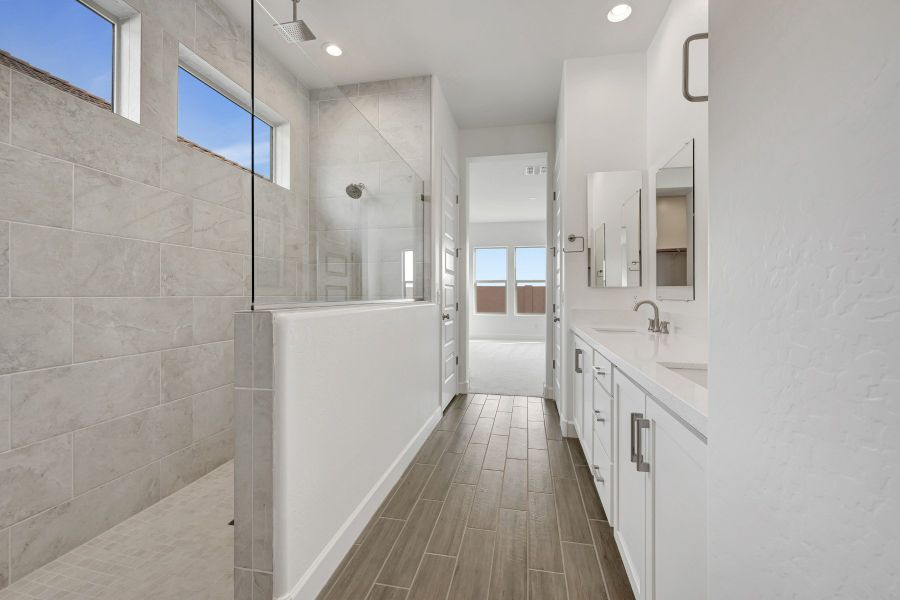 Owner's Bath