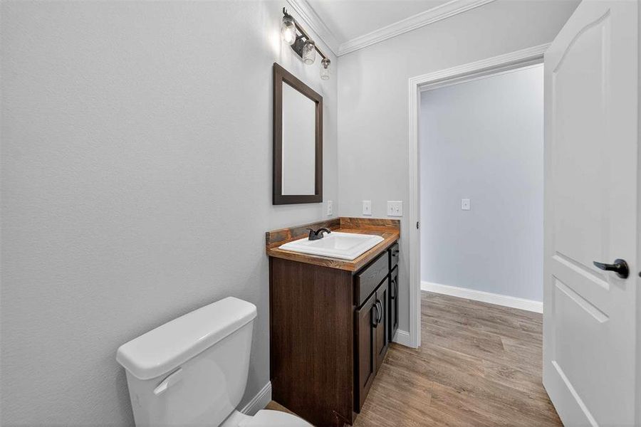 Bathroom featuring ornamental molding, vanity, and light wood-style flooring Bathroom featuring ornamental molding, vanity, and light wood-style flooring