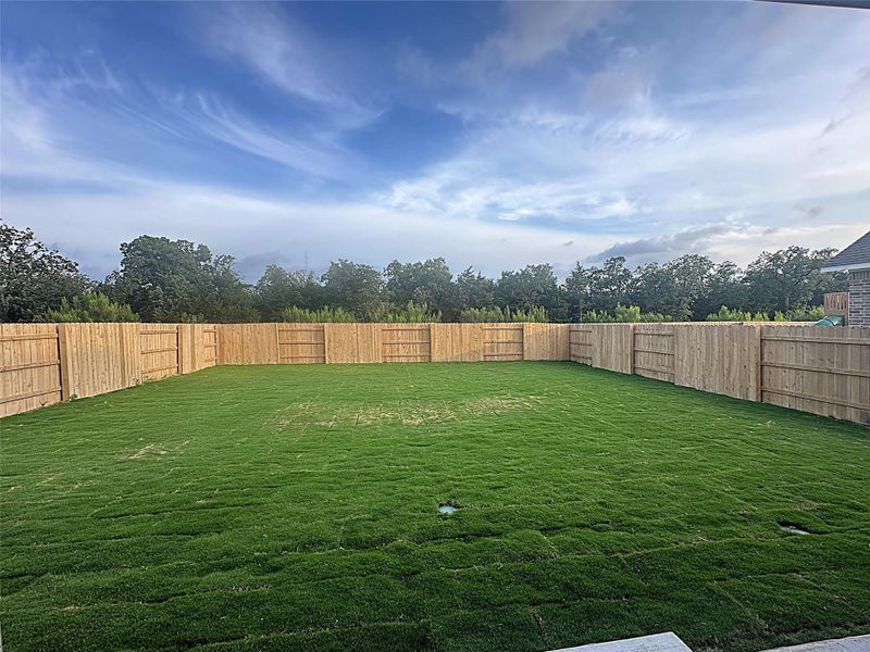 View of the large fenced-in yard. Backs to a green space.