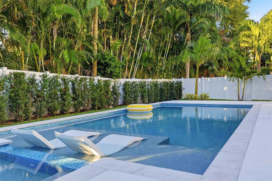 Exterior details and patio area of a home in , St. Petersburg (Image 47). Exterior details and patio area of a home in , St. Petersburg (Image 47).