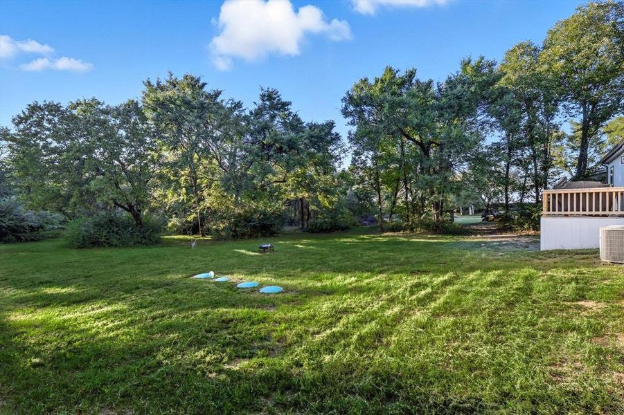 View of grassy yard View of grassy yard