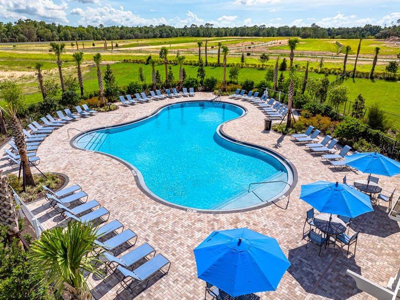 Community amenities in Palm Wind, Hudson (Image 30).