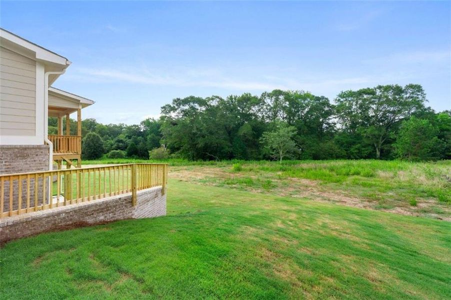 Exterior details and patio area of a home in Steeplechase, Hoschton (Image 24).