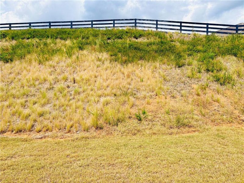 Natural landscape and outdoor views near Heritage Pointe at The Georgian in Villa Rica (Image 19).