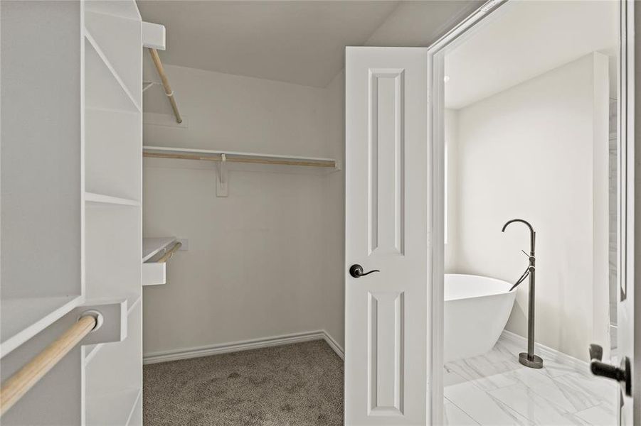 Walk in closet featuring carpet floors